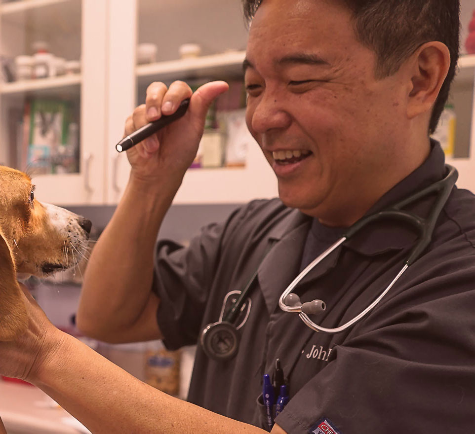 About | Hawaii Kai Veterinary Clinic